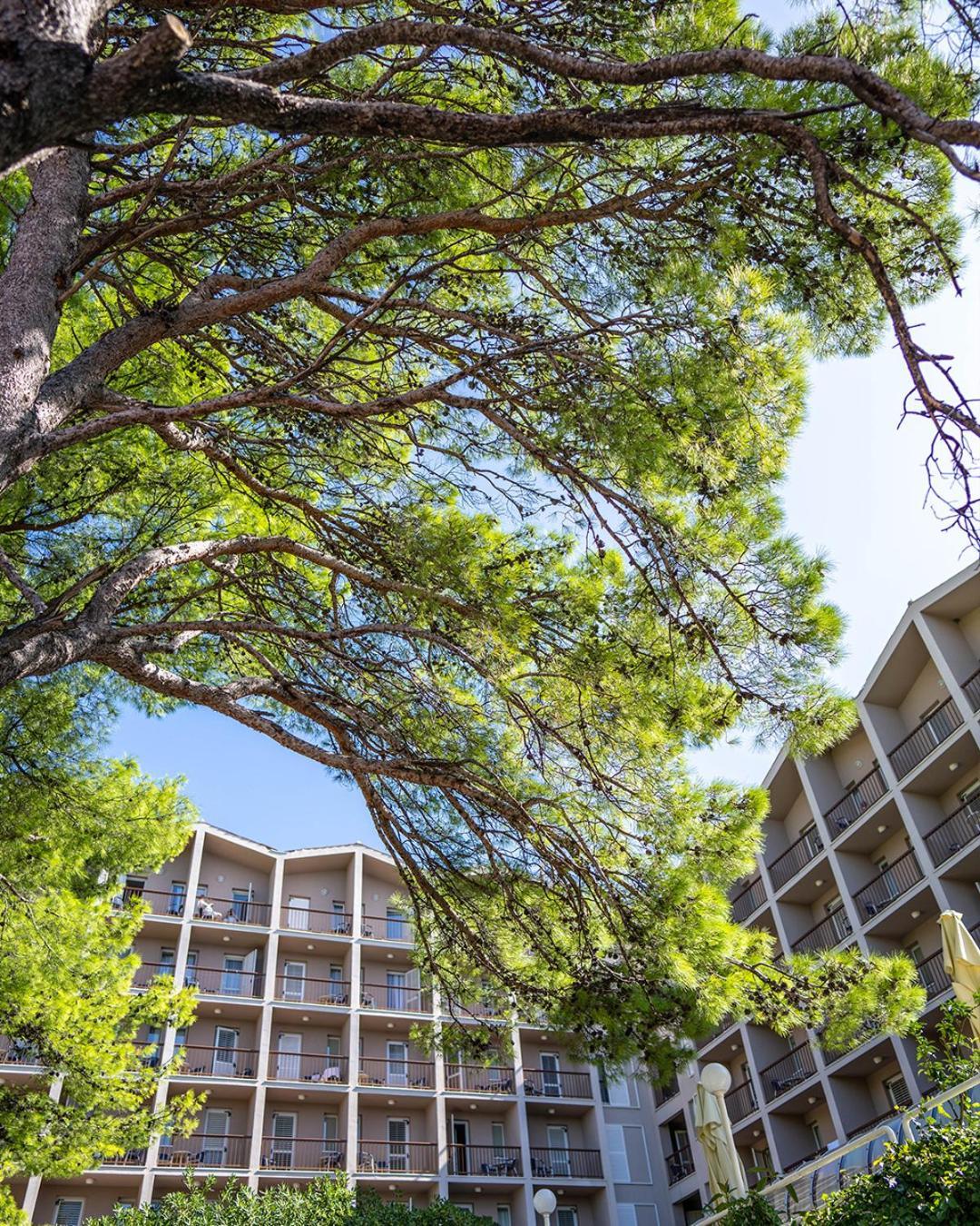 Hotel Horizont Baška Voda المظهر الخارجي الصورة